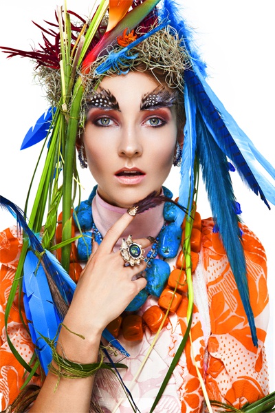 Birds of Paradise (1)