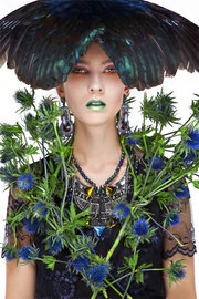 Birds of Paradise (2)