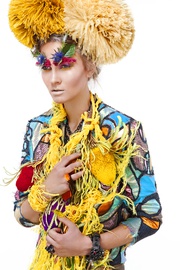 Birds of Paradise (3)